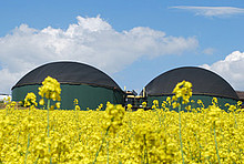 Biogasanlage hinter einem Rapsfeld